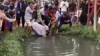 Viral Video Emak-emak Enggak Ada Takutnya Terdepan Tangkap Ular Segede Paha