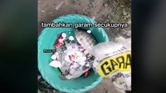 Viral Ikan Nila Beli di Pasar Bisa Hidup Lagi, Direndam Pakai Air Garam dan Bumbu Dapur