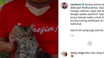 Sandiaga Uno Punya Kucing Magelang dan Makassar, Netizen: Penyayang Nih