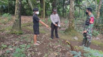 Jatuh, Penderes Nira Kelapa di Purbalingga Meninggal Dunia