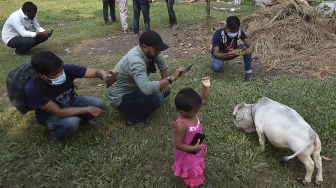 Warga memotret seekor sapi kerdil bernama Rani di sebuah peternakan sapi di Charigram, Ashulia, Savar, Bangladesh, pada (6/7/2021). [Munir Uz zaman / AFP]