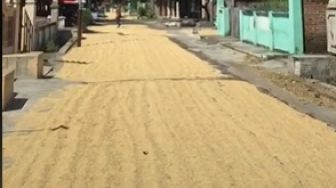 Warga Jemur Gabah sampai Menutupi Jalan, Aksi Pengendara Nekat Melintas Jadi Sorotan