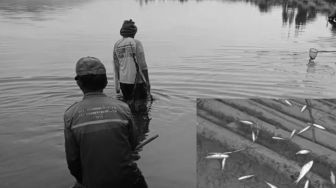 Heboh Fenomena Ikan di Danau Ini Tiba-tiba Jinak: Sangat Mudah Menangkapnya