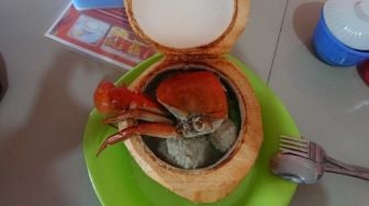 Bakso Campur Kepiting dalam Kelapa Muda di Asahan, Rasanya Gurih Cuy