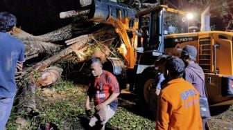 Pohon Tumbang Karena Angin Kencang, Dua Warga Kepahiang Meninggal Dunia