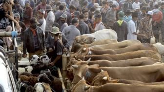 Daripada Batasi Ruang Gerak Saat Pandemi Covid-19, Epidemiolog Lebih Sarankan Hal Ini