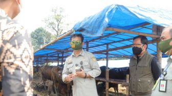 Pastikan Kesehatan Hewan untuk Idul Adha, Mentan Kunjungi Depo di Kota Bogor