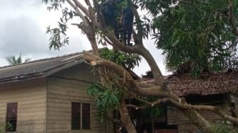 Merana Kala Wabah, Puluhan Warga Natuna Bertahan di Rumah Terdampak Angin Puting Beliung