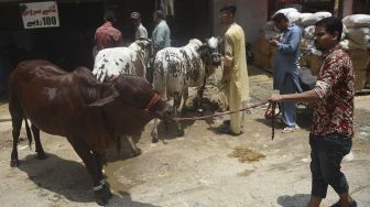 Pelanggan membawa ternak mereka usai mencuci sapi mereka di sebuah bengkel mobil menjelang perayaan Idul Adha di Karachi, Pakistan, pada (14/7/2021). [Rizwan TABASSUM / AFP]