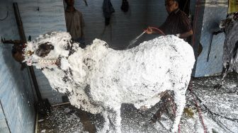 Seorang pria mencuci sapi milik pelanggan di sebuah bengkel mobil menjelang perayaan Idul Adha di Karachi, Pakistan, pada (14/7/2021). [Rizwan TABASSUM / AFP]