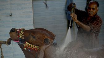 Seorang pria mencuci sapi milik pelanggan di sebuah bengkel mobil menjelang perayaan Idul Adha di Karachi, Pakistan, pada (14/7/2021). [Rizwan TABASSUM / AFP]