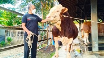 Presiden Jokowi Beli Sapi Warga Kabupaten Gowa Rp 70 Juta