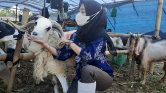 Mahasiswi IPB Berparas Cantik tak Gengsi Jualan Kambing di Dramaga