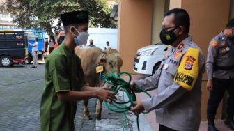 Berbagi Jelang Iduladha, Polda DIY Serahkan 16 Sapi dan 11 Kambing ke Warga Membutuhkan