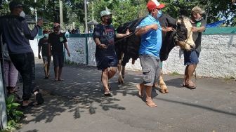 Sapi Gubernur Dipotong Terakhir, Begini Pemotongan Hewan Kurban di Dekat Rumah Anies