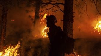 Api membakar pohon-pohon yang ada di hutan dekat Paisley, Oregon, Amerika Serikat, Selasa (20/7/2021). [AFP/Photo]