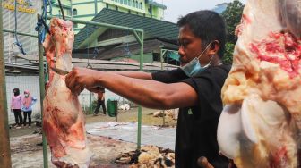 Petugas memotong bagian hewan kurban yang sudah disembelih di Masjid Agung Al Azhar, Jakarta Selatan, Rabu (21/7/2021). [Suara.com/Alfian Winanto]
