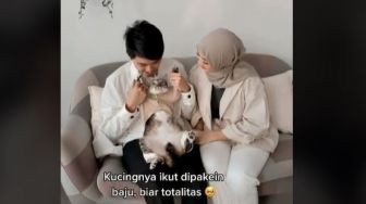 Viral Pasangan Ini Ingin Foto Prewedding Bareng Kucing, Publik: Otw Bawa Botol Cupang