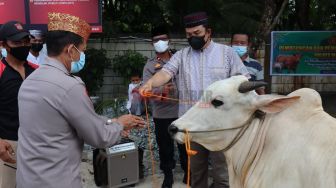 Polres Mempawah Laksanakan Pemotongan Enam Hewan Kurban