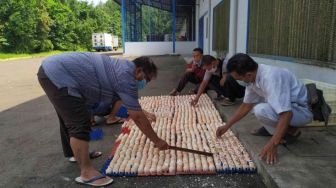 Puluhan Ribu Telur Ayam di Sukabumi Dimusnahkan Gara-gara Ini