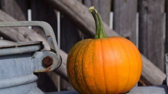 Benarkah labu kuning berkhasiat untuk kesembuhan Covid-19?