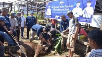 Kurban 5 Sapi, DPC Demokrat Pekanbaru Bagikan Daging Kurban