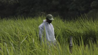 Petugas bersiap untuk memakamkan jenazah yang meninggal dunia karena COVID-19 di TPU Tegal Alur, Jakarta, Jumat (23/7/2021). [Suara.com/Angga Budhiyanto]