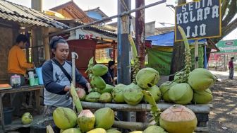 Sepanjang PPKM Pedagang Kelapa Muda Raup Ungtung Besar