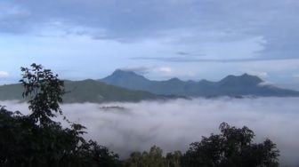 Pesona Bukit Jamur Bengkayang, Bak Negeri di Atas Awan