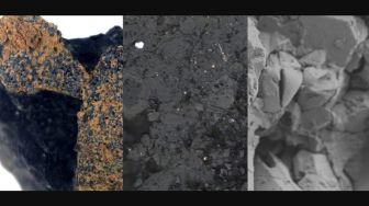 Meteorit Langka Berusia 4,6 Miliar Tahun Ditemukan di Jejak Tapal Kuda