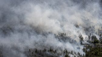 Asap membubung ke udara dari lahan perkebunan kelapa sawit yang terbakar di Pedamaran, Ogan Komering Ilir (OKI), Sumatera Selatan, Senin (26/7/2021). ANTARA FOTO/Nova Wahyudi
