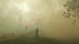 209 Titik Panas Terpantau di Sumatera, Riau Salah Satu Penyumbangnya