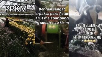 Viral! Kecewa PPKM Diperpanjang, Petani Bunga Rusak Tanamannya karena Rugi