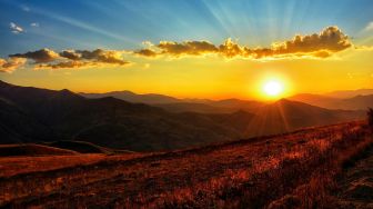 9 Manfaat Energi Matahari bagi Hewan dan Definisinya