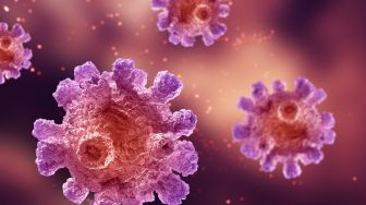  China tolak penyelidikan lebih lanjut asal usul virus Corona