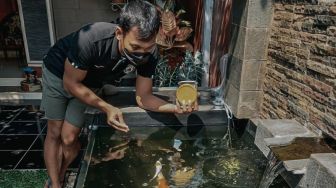 Pelihara Ikan Koi, Cara Ega Rizky Hindari Stres di Masa PPKM