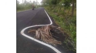 Deretan Desain Marka Jalan yang Bikin Mikir Keras, Bentuknya kok Begini?