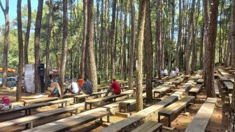 Pemkab Bantul Siap Perkuat Jaringan Sinyal di Hutan Pinussari Mangunan