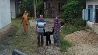 Digandeng, Pasutri Serahkan Siamang Berusia 7 Tahun ke BBKSDA Riau