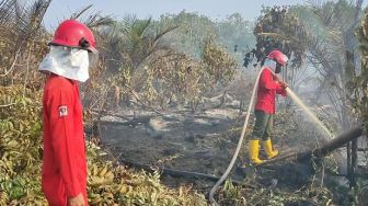 Lurah dan Camat se-Pontianak Diminta Awasi Hutan Cegah Kebakaran Hutan