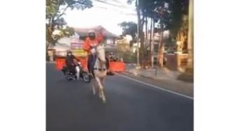 Viral! Kurir Antar Pesanan Makanan Ngebut Naik Kuda