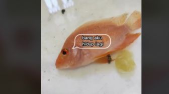 Malaikat Maut Kena Prank, Ikan Beku Dikasih Bumbu Dapur Ini Langsung Hidup Lagi