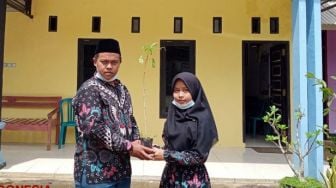 Unik! Kepala Desa di Pacitan Ini Wajibkan Para Calon Pengantin Tanam 10 Pohon Trembesi