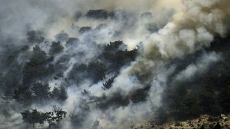 Kebakaran hutan menyebar di hutan daerah Qubayyat di wilayah terpencil Akkar, Lebanon, pada (29/7/2021). [JOSEPH EID / AFP]