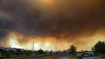 Kebakaran Hutan di Turki Memasuki Hari Ke-7, Ancam Pembangkit Listrik