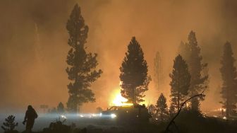 NASA Gunakan Satelit Temukan Titik Terpanas Kebakaran Hutan