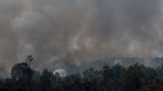 Asap membubung tinggi dari lahan yang terbakar di Desa Palem Raya, Indralaya Utara, Ogan Ilir (OI), Sumatera Selatan, Sabtu (31/7/2021). [ANTARA FOTO/Nova Wahyudi]