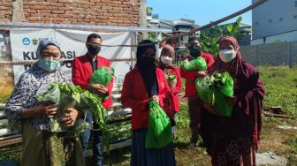 Tim PKM-PM UNHAS Dampingi Istri Supir Angkot Panen Sayuran Hidroponik