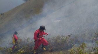 8 Hektare Lahan Tebu Hangus Terbakar di Bondowoso, Angin Kencang Persulit Pemadaman