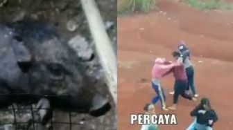 5 Kejadian Viral di Depok Sampai Dijuluki 'Magical Place', Babi Ngepet Hingga Adu Jotos